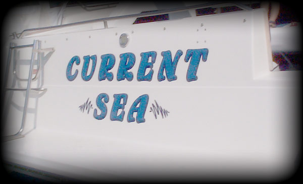 Current Sea Boat Name